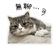 858871270