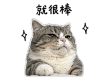 858871285