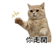858871477