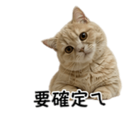858871496
