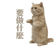 858871499