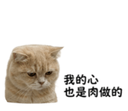 858871503