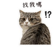 858871538