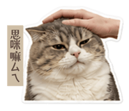 858871542