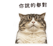 858871546