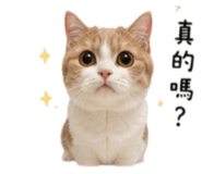 858871607