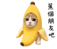 858871613