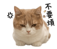 858871621