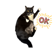 858872002