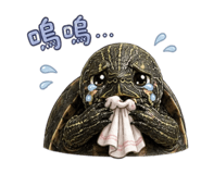 858872136