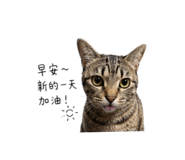 858873443