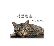 858873445