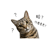 858873448