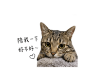 858873449