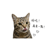 858873451
