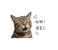 858873454