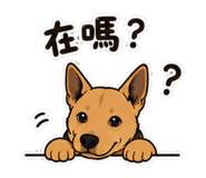 858873764