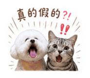 858875743