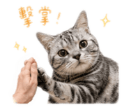858875744