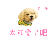 858877904