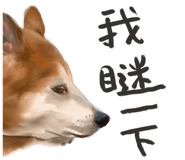 858881088