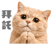858881338