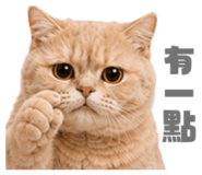 858881341