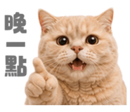 858881342