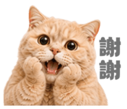 858881343