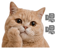 858881345