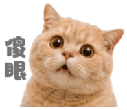 858881347