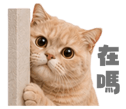 858881349