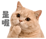 858881351