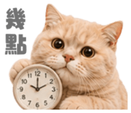 858881352