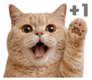 858881356