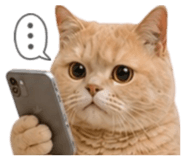 858881357