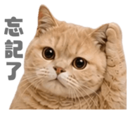 858881361