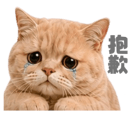 858881362