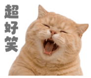 858881366