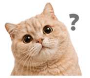 858881369
