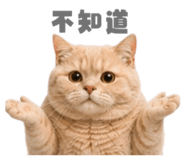 858881371