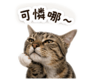 858882583