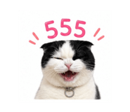 858882646