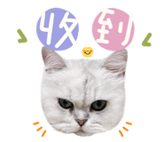 858882666