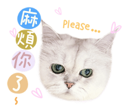 858882673