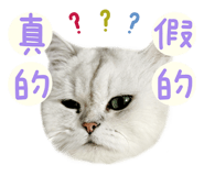 858882676