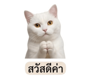 858883057