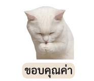858883058