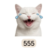 858883062