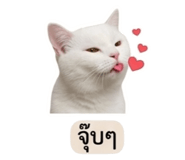 858883064